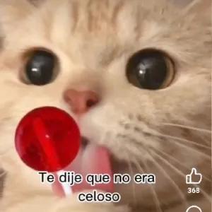 dJhUgj