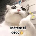 Pa tu culo mamaguevo