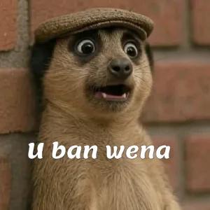 u ban wena - getsticker.com