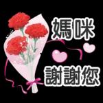 ♡ 貓咪愛你 ♡ 實用日常(含母親節祝福)