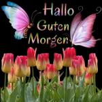 vielen Segen für dich