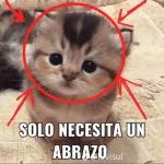 SU MENSAJE
FUE IGNORADO
CON ÉXITO
