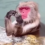 Tienes una nueva información de vuelo!