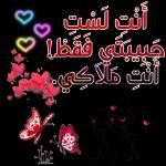 أحبك
لأن حبك يزيل حزني ويريح قلبي
أحبك لأنك راحتي وكل حياتي 3