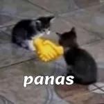 YA ESTOY EN CASA AMOR