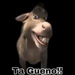 Gracias