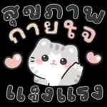 แมวมาร์คัส V.3 : HNY