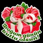 aynur