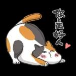 肥貓躺躺(上班鳥事)