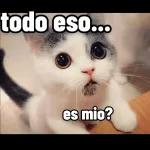 Feliz lunes Bendecida Semana!
