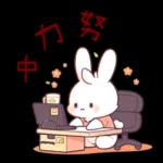 兔聯萌