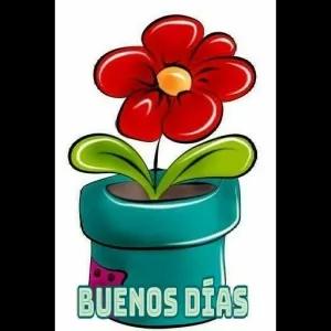 cFlrEY