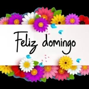 Feliz domingo - getsticker.com