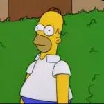 Memes
                    
Stickers | Stikery