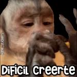 Y EL VIDEO? DONDE ESTA EL VIDEO?