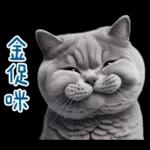 起肖貓貓★台語卡唬爛!