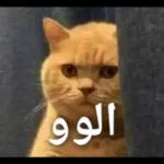 صديق، هذا طاح منك