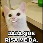 No voy a caer en provocaciones