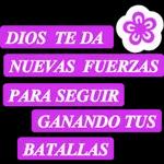 feliz día 