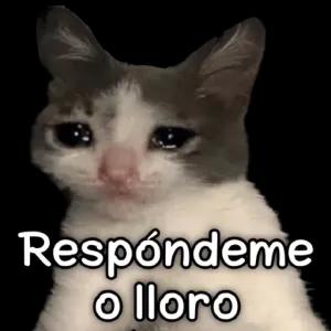 jdnom