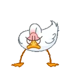 Por si quieres saber...