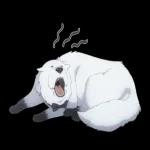 SPY×FAMILY 間諜家家酒 第二彈