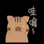 小山豬&小粉豬-日常篇