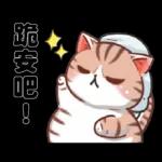 熱血小斑貓1修改版