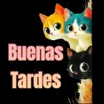 buenas tardes