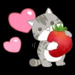 懶貓家族12 小太陽和家人-甜蜜草莓篇