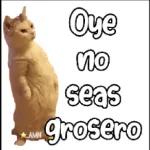 Contesta we soy tu real no tu ex