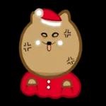 狐狸博美犬 2 x聖誕節