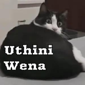 7klxzh