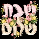 שבת שלום 