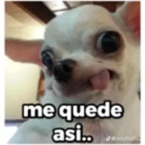 me quede asi.. - getsticker.com
