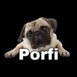 perrito