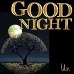 Good Night