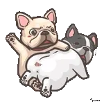 gifsAnitters