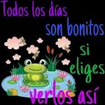 Feliz día