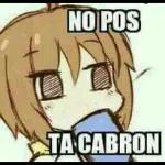 policía 🚔🚓