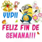 text stickers maker