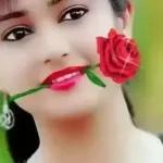 ملصقات مفضلة