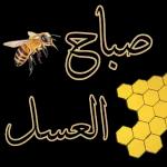 صباح العسل