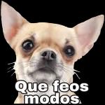 Leyendo tus mentiras