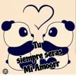 amorcita 