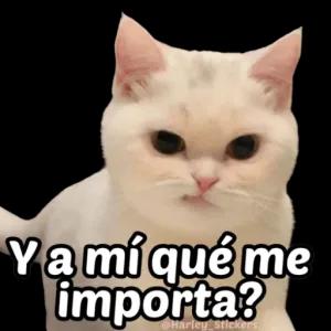 qmIfxr