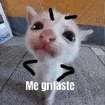 gaticos