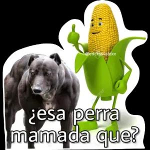 XhBpxA