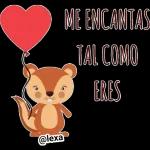 Buen día y Noche 🌜⭐🌞🌈