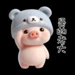 穿小熊裝的可愛寶貝